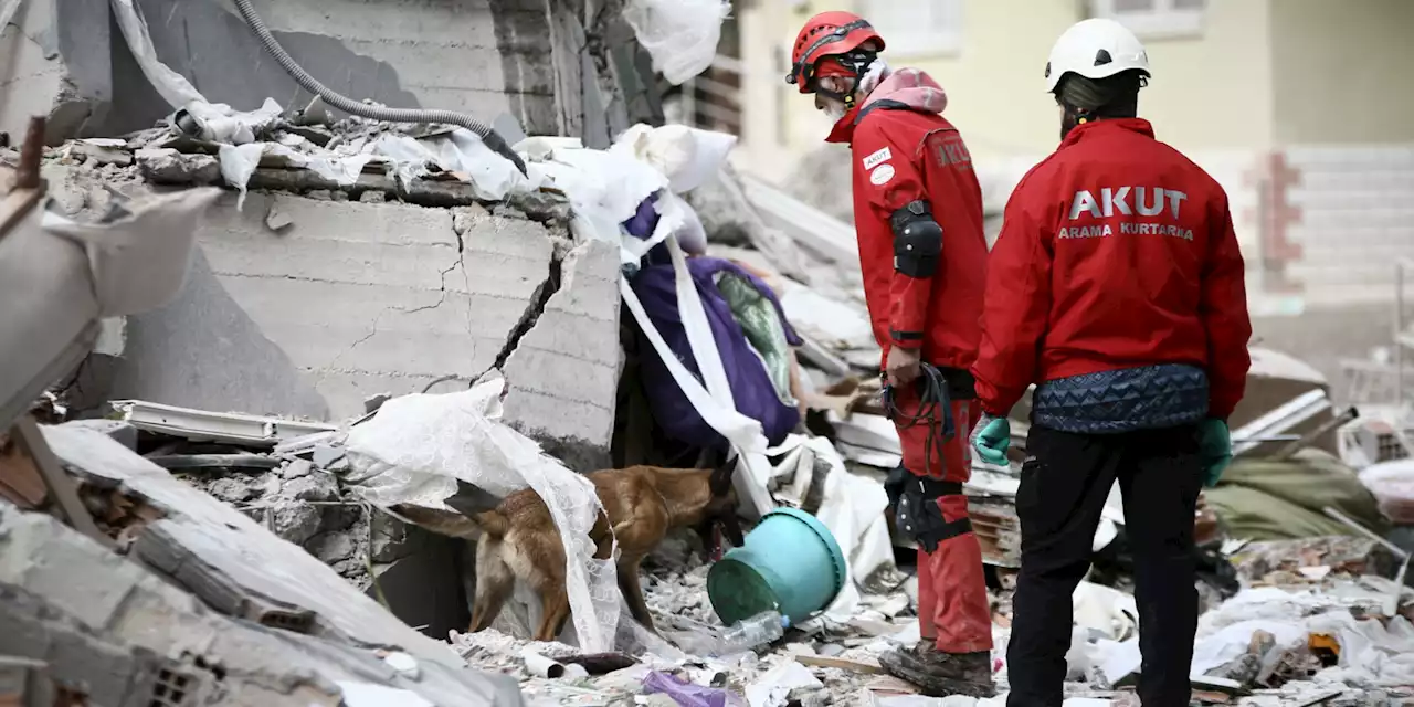 Séisme en Turquie : les Français d'origine turque prennent les premiers vols pour aider les victimes