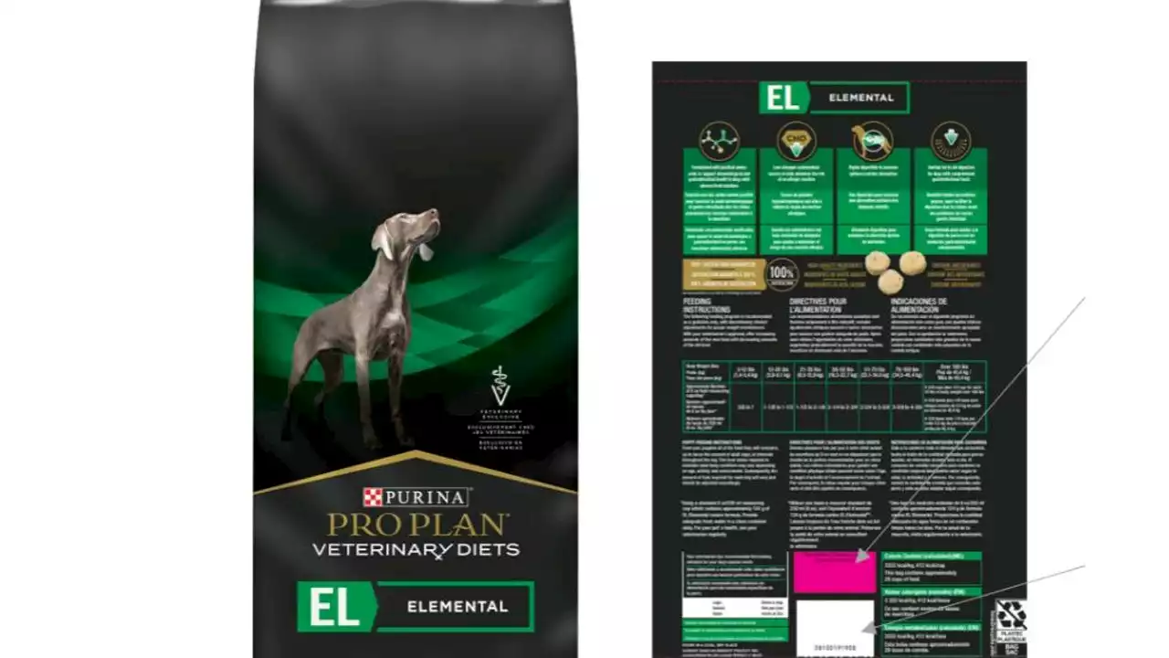 Purina dog food recalled; could cause vomiting, kidney failure