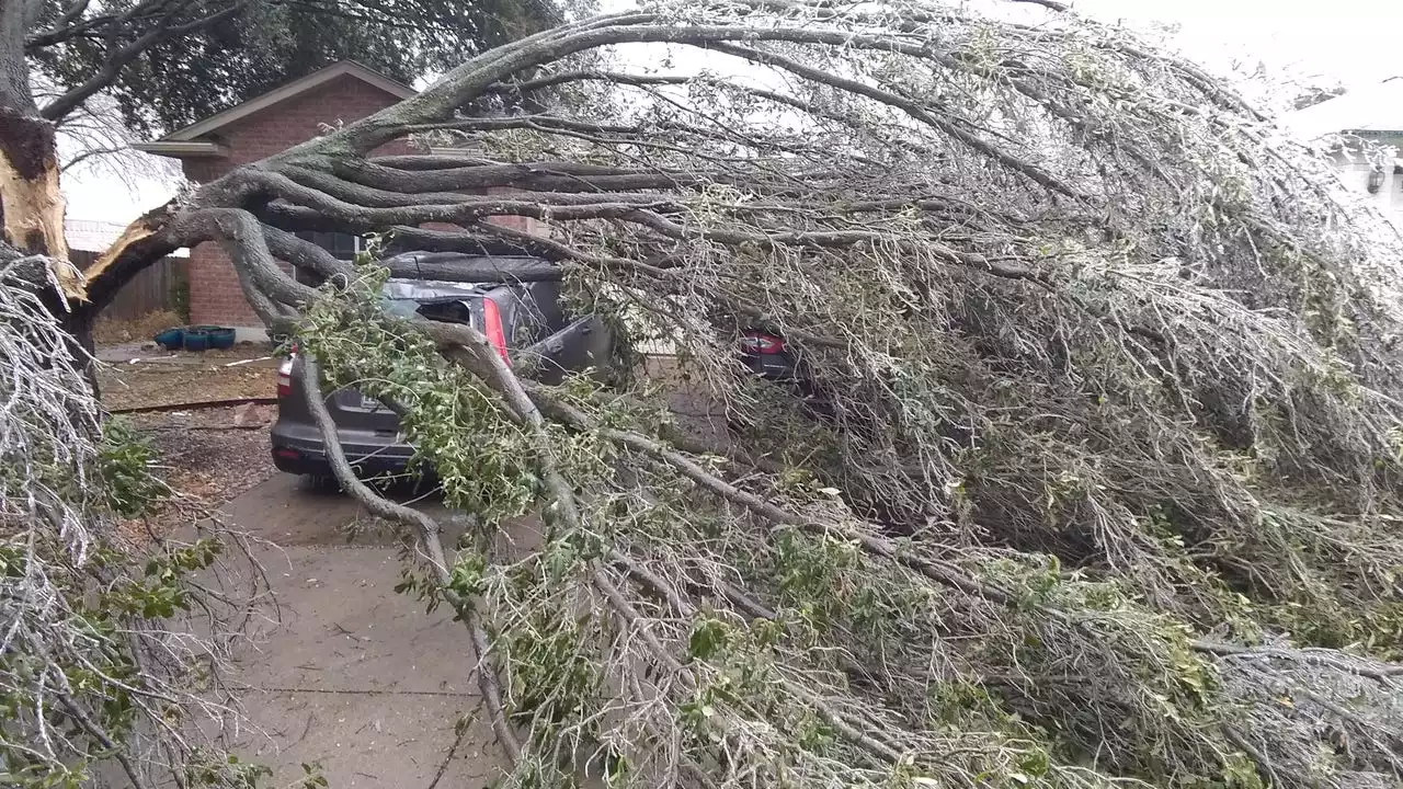 Record amount of storm debris picked up throughout Austin