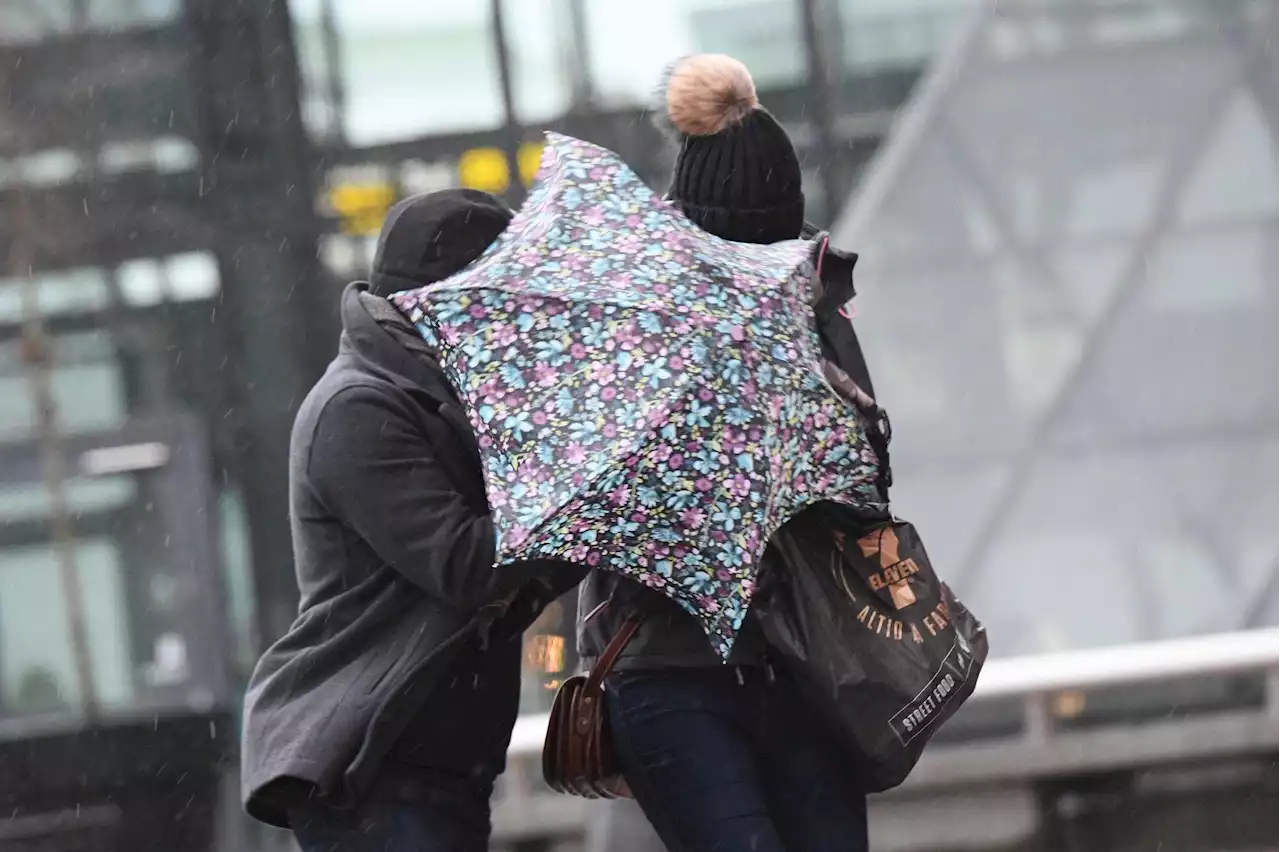 SMHI: Då kan det bli vår i Göteborg