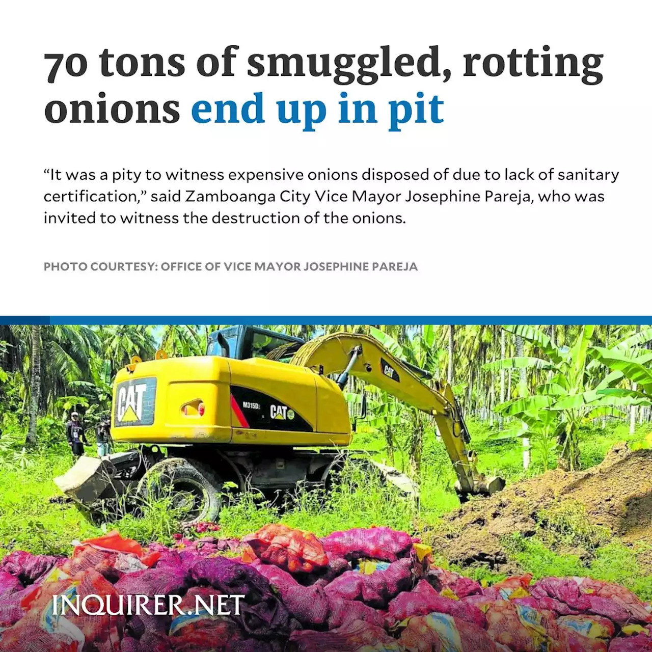 70 tons of smuggled, rotting onions end up in pit