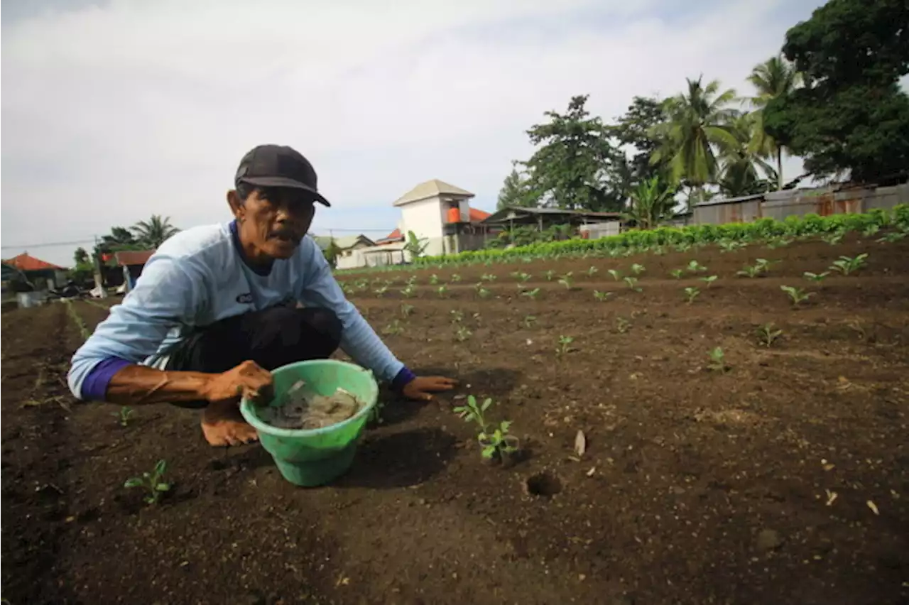 Ajak Kaum Muda Menjadi Petani