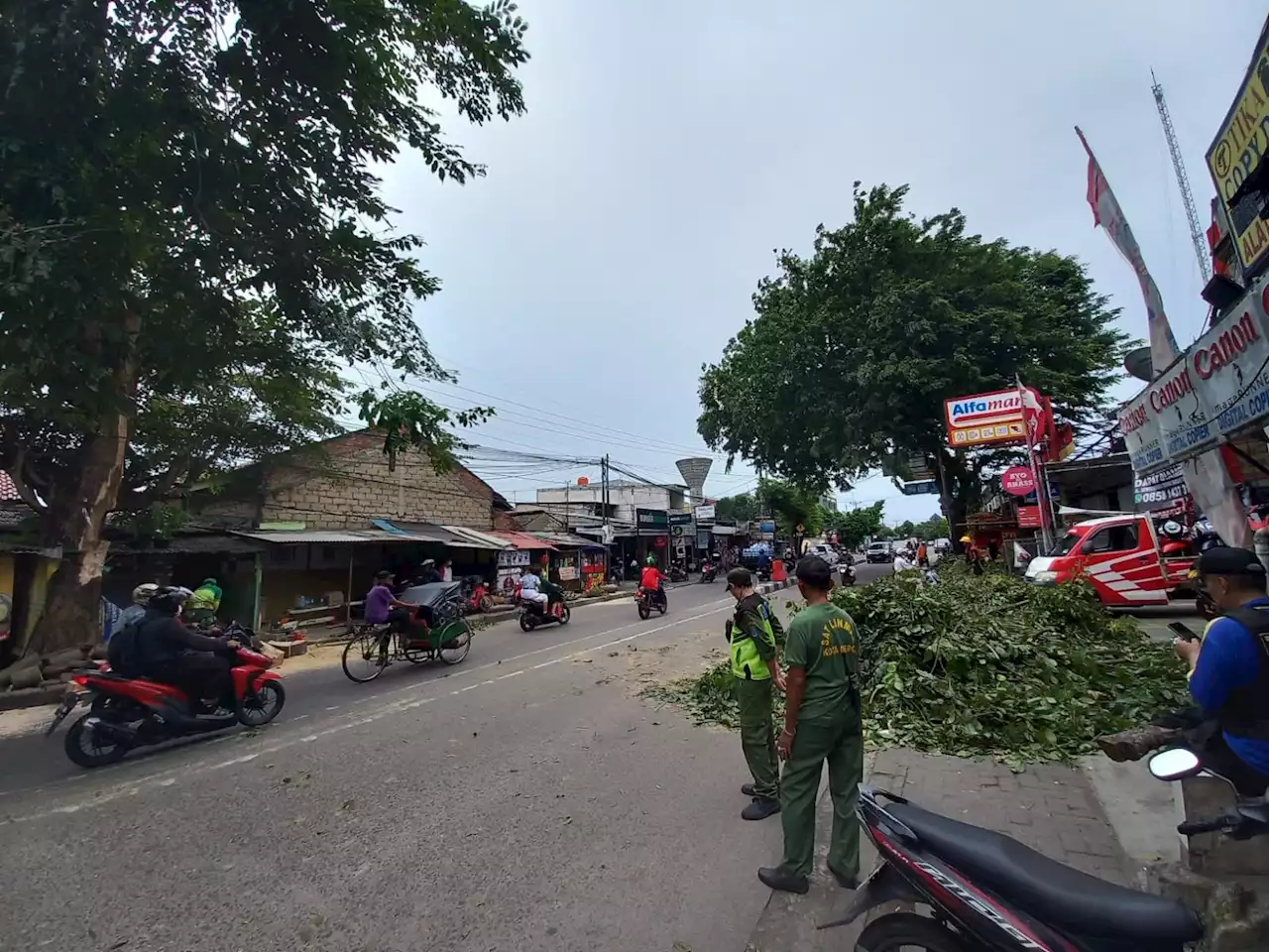 Gegara Angin Kencang, Sejumlah Tiang Listrik dan Pohon Besar di Kota Depok Tumbang