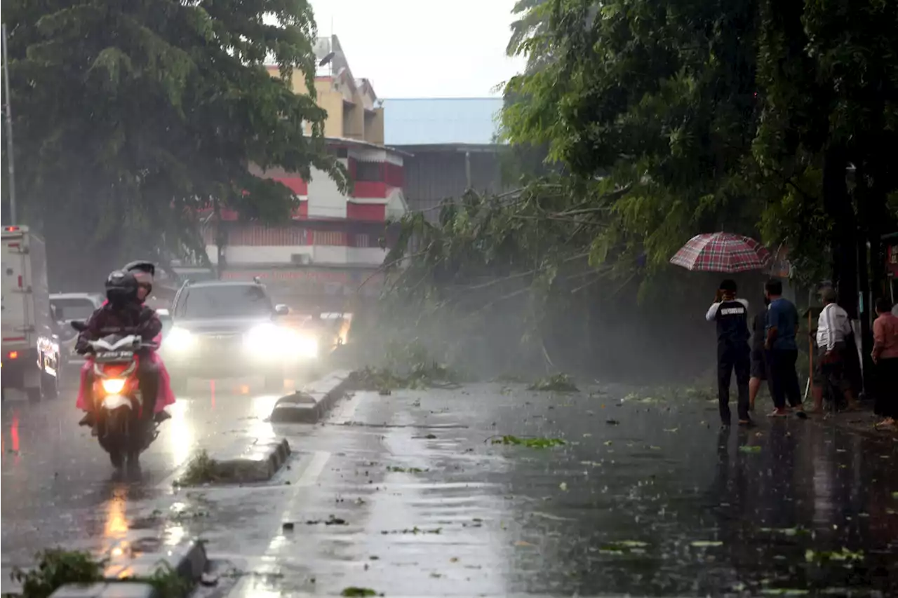 Penjelasan Lengkap BMKG Ihwal Angin Kencang yang Menerjang Depok dan Bogor