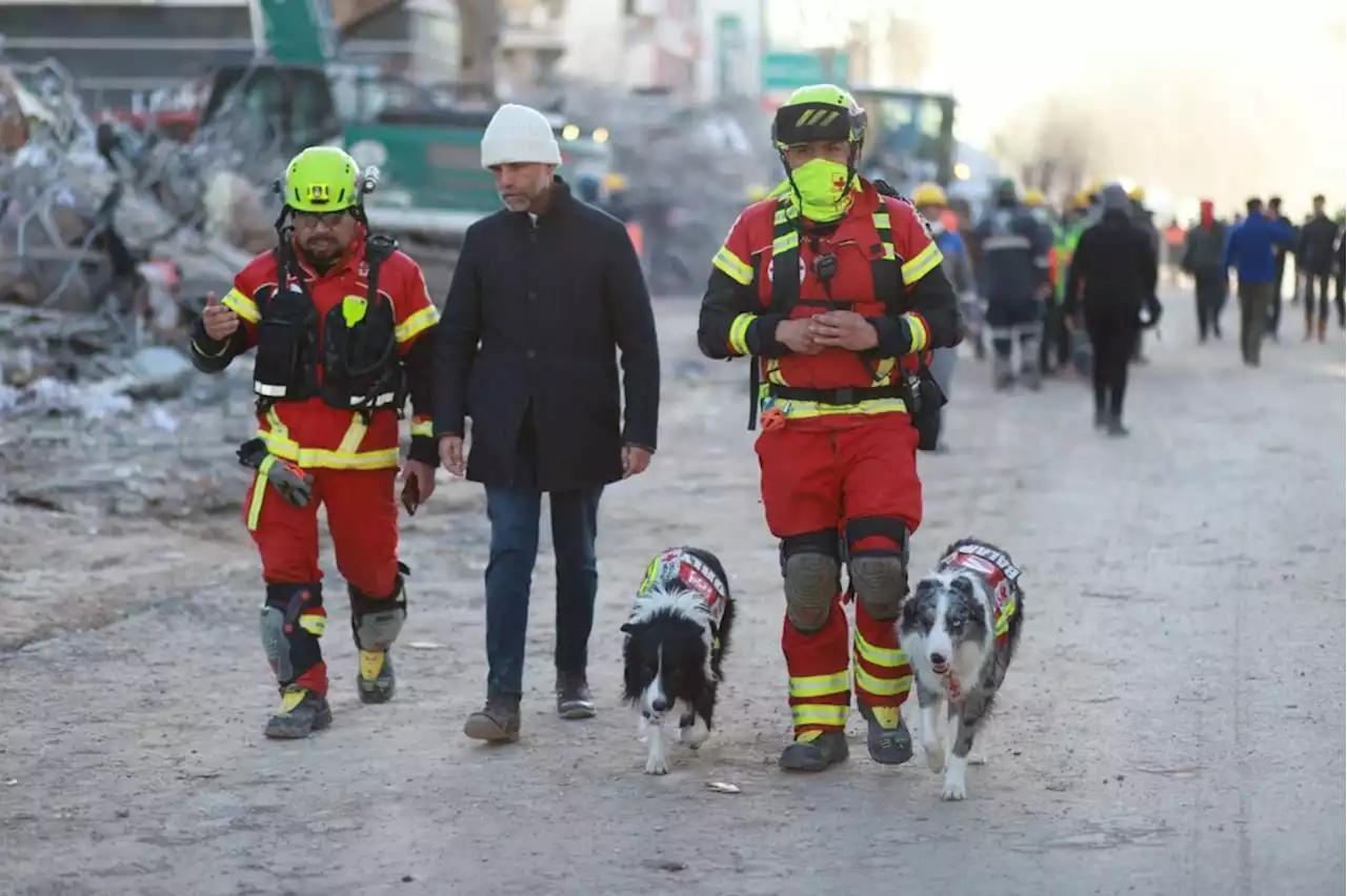 Brigadas de Semar, Sedena y CRM, asignadas a 70 edificios dañados en Turquía