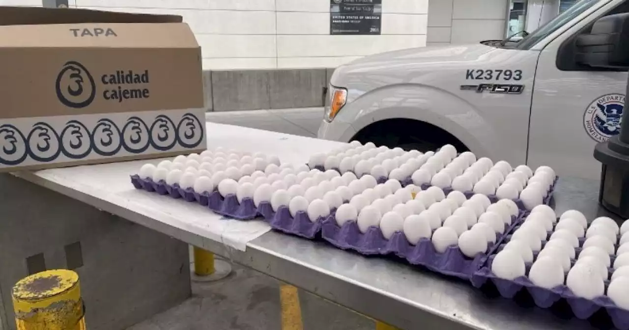 Eggs are so expensive, Californians are trying to bring them across the border from Mexico