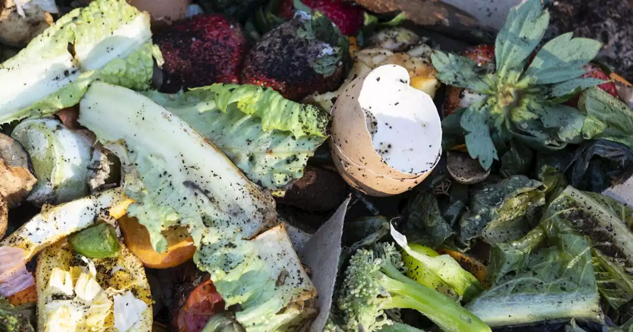 L.A. renters need a green bin for compostable garbage. Here's how to get one