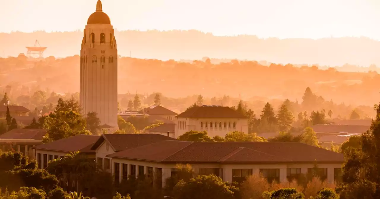 Palo Alto: Billionaire playground or Darwinian hellscape? Why not both?