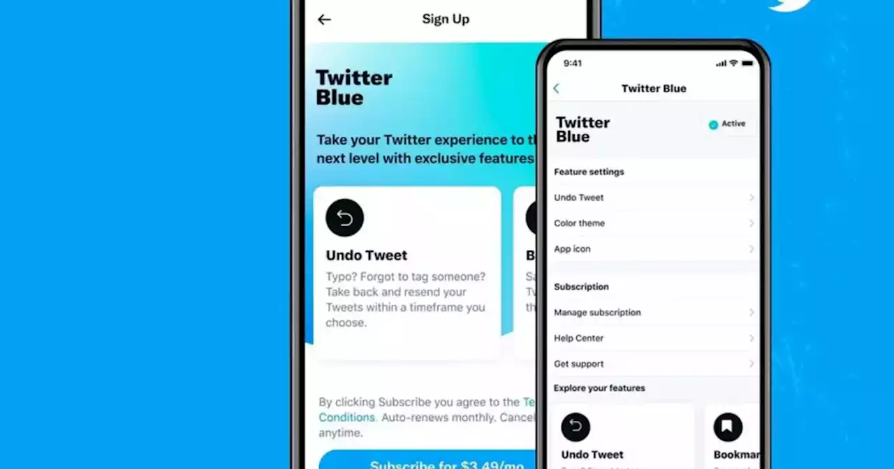 Twitter extiende los tuits hasta los 4000 caracteres como “gancho” para su versión Blue | Tecnología | La Voz del Interior