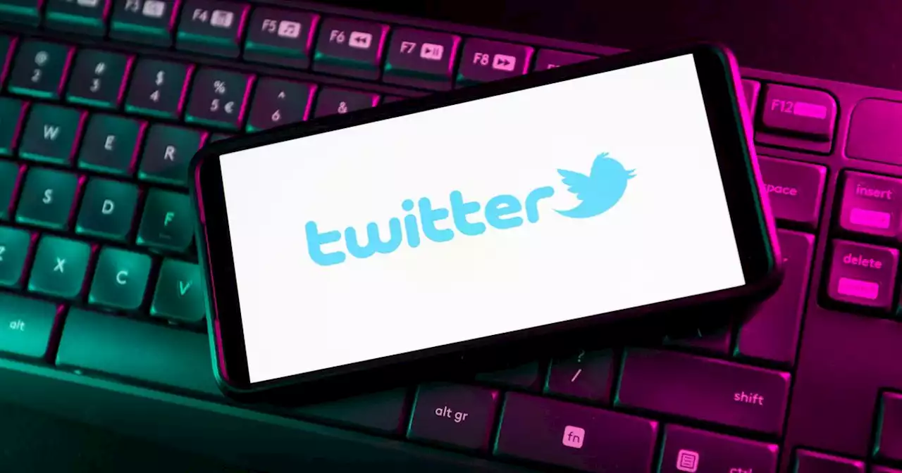 Twitter victime d'une panne mondiale le jour de l'arrivée des tweets à 4000 caractères