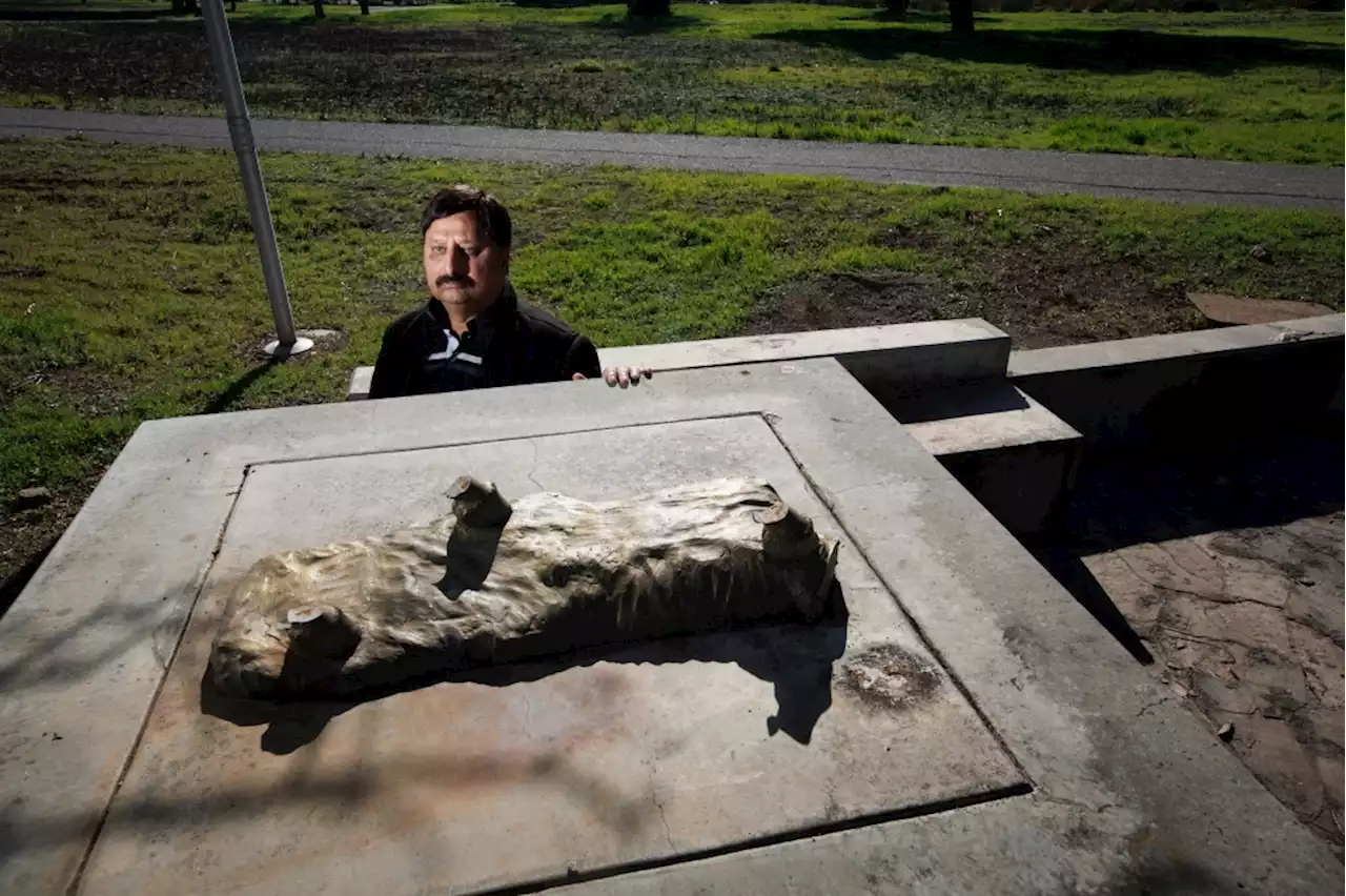 A beloved San Jose statue vanished. It’s not the first time it’s been stolen.