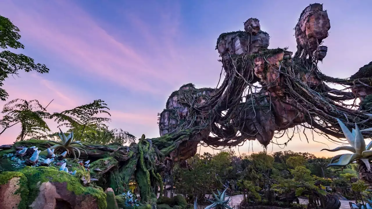 Avatar theme park experience coming to Disneyland, Disney CEO says