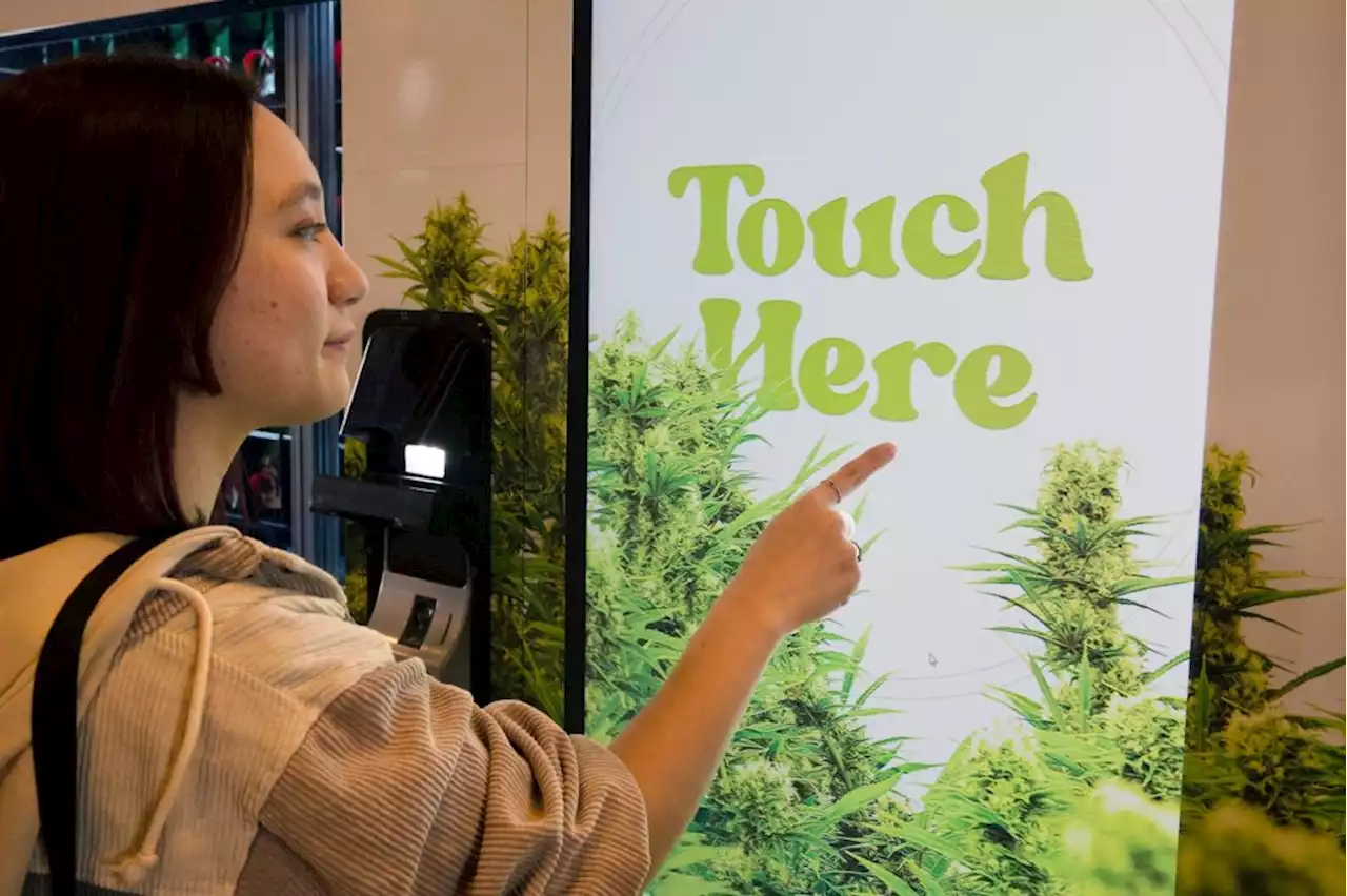 People can now buy marijuana from a vending machine in Colorado (yes, really)