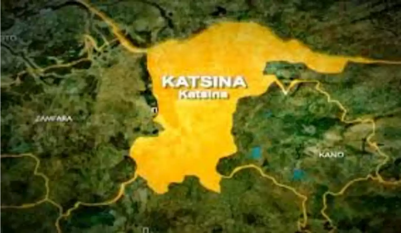 How heavily-armed terrorists killed 100 guards in Katsina forest ambush – Vigilante
