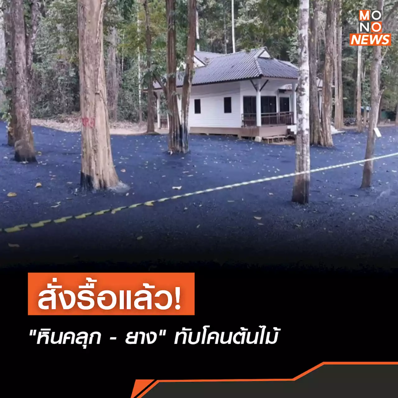 สั่งรื้อแล้ว! “หินคลุก – ยาง” ทับโคนต้นไม้