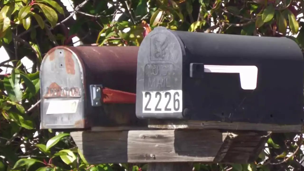 Thieves Steal Mail From Dozens of Households in the East Bay