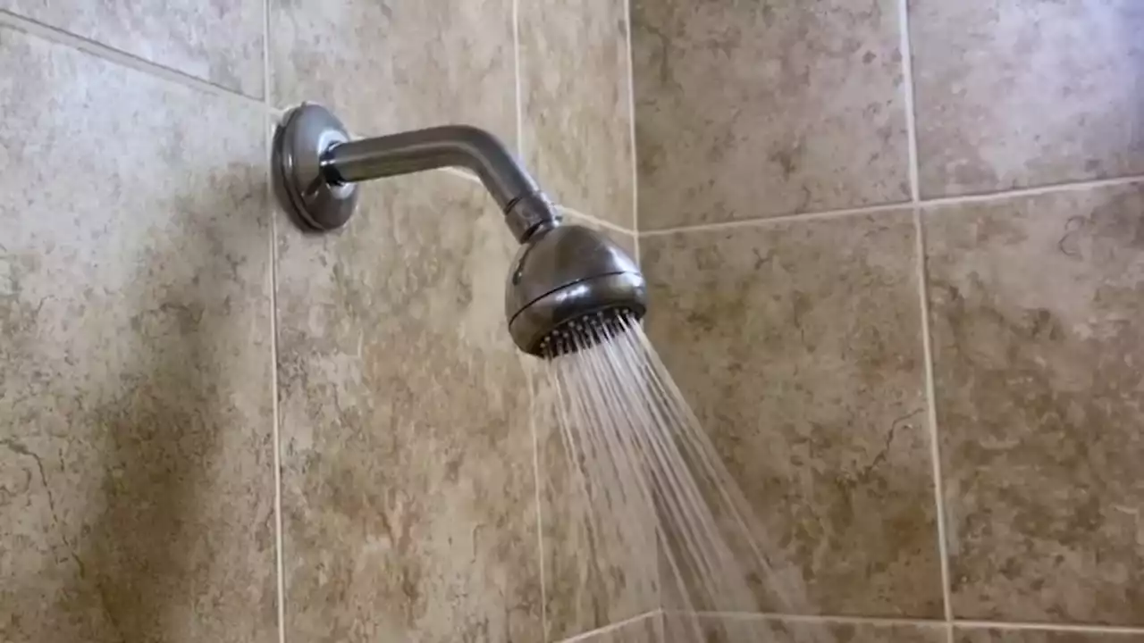 Tips for a Smarter Shower