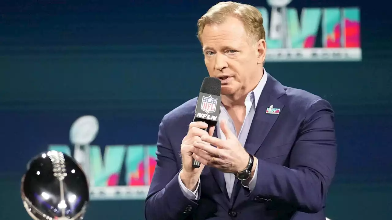 NFL Fans Can't Believe Roger Goodell's Praise of Refs