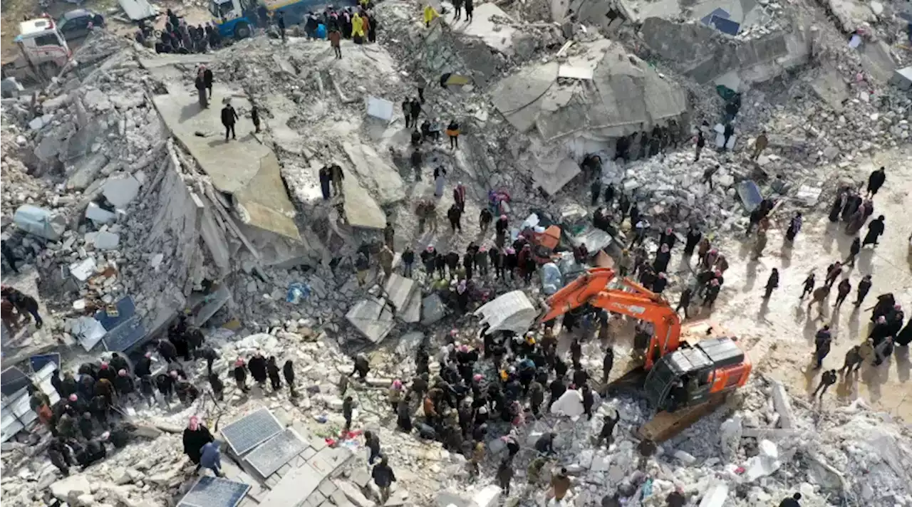 Video: decenas de aves habrían anunciado el terremoto en Turquía, minutos antes