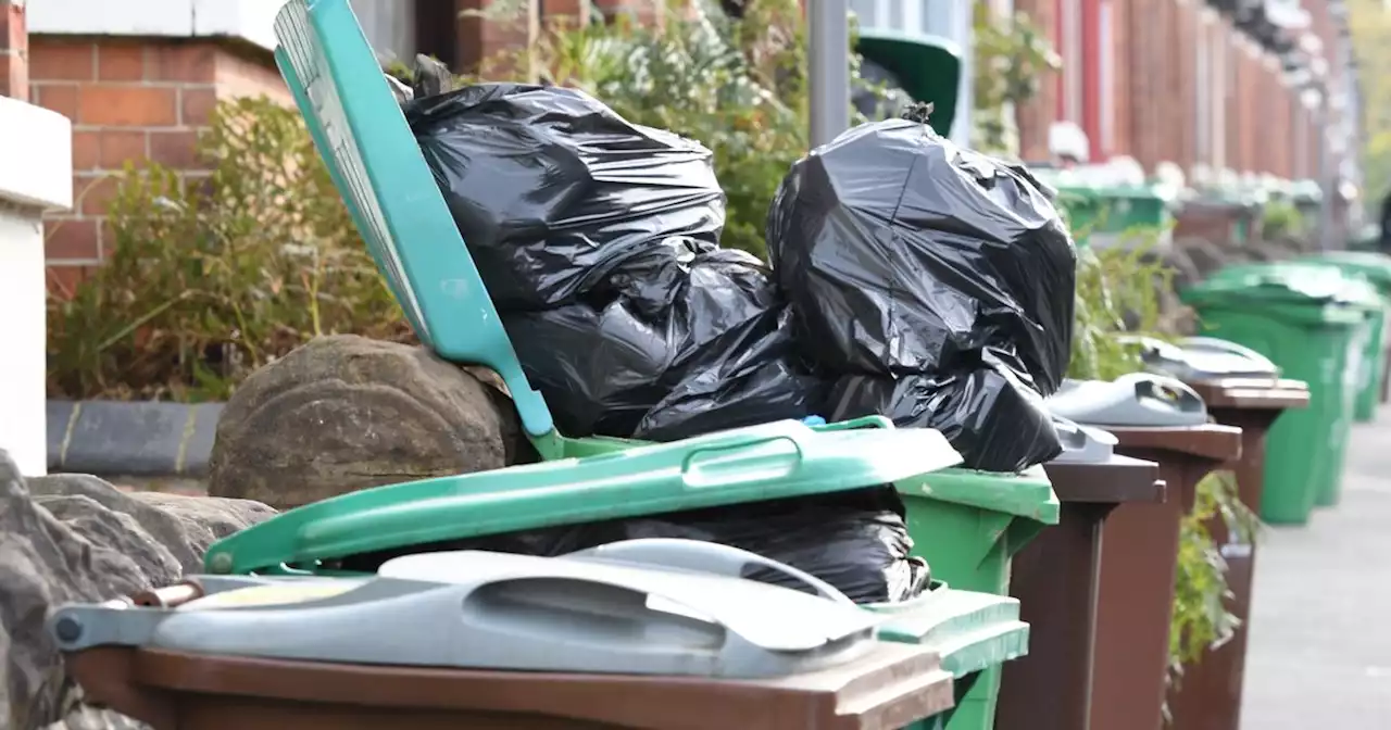 Major bin trial to begin within weeks for 3,500 households