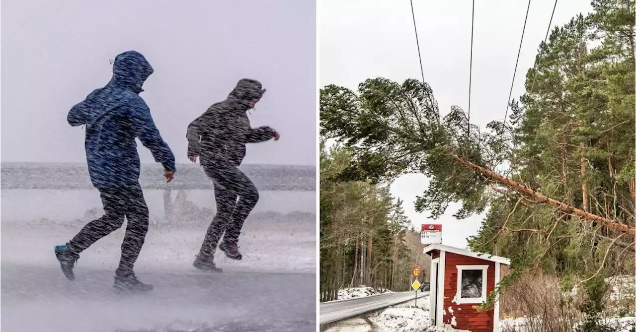 SMHI varnar: Stormbyar i Värmland i kväll: ”Kan ställa till besvär”