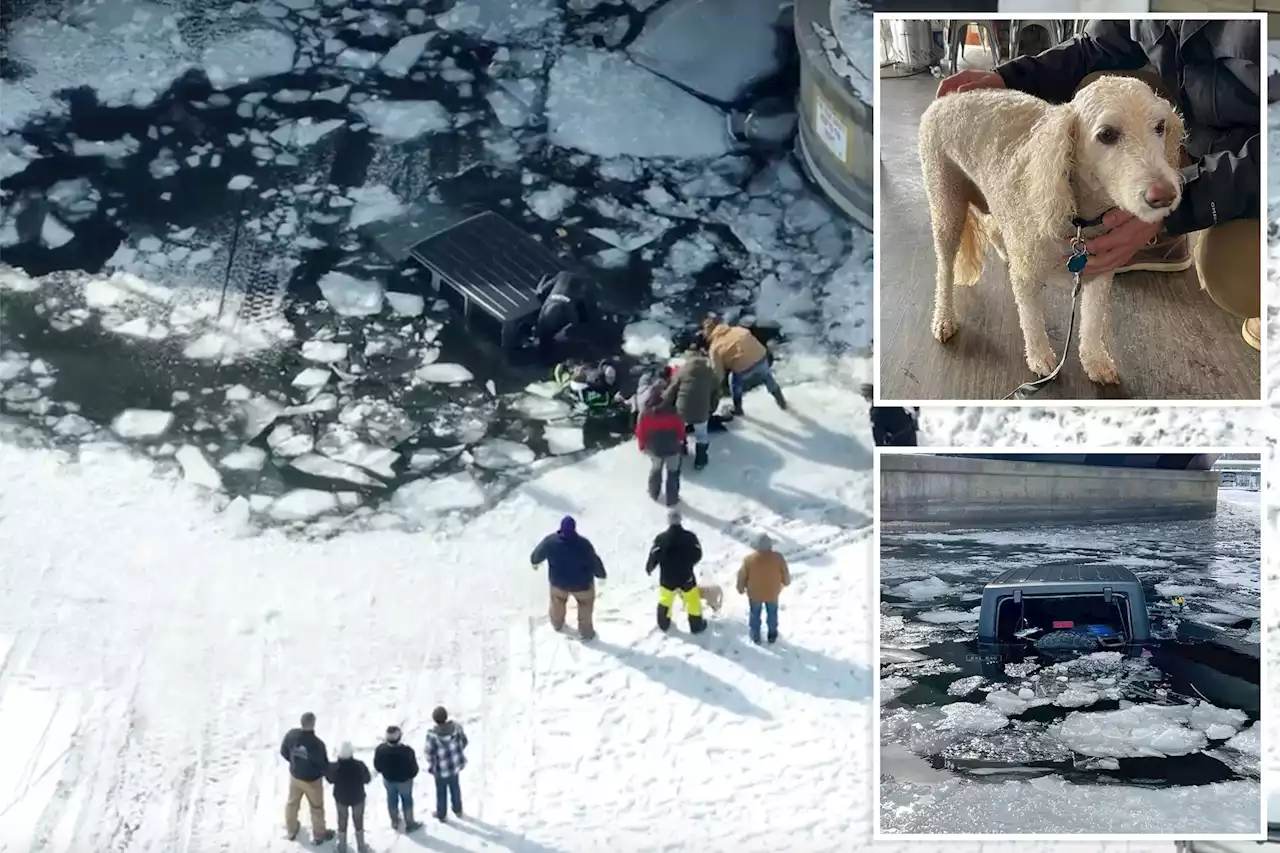 Teen helps save elderly man and his dog after car falls through icy lake