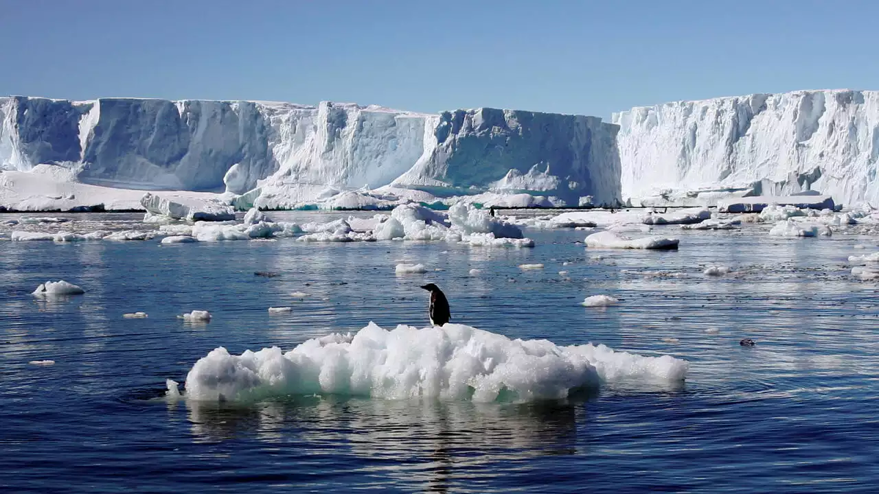 Changement climatique: la banquise en Antarctique au plus bas