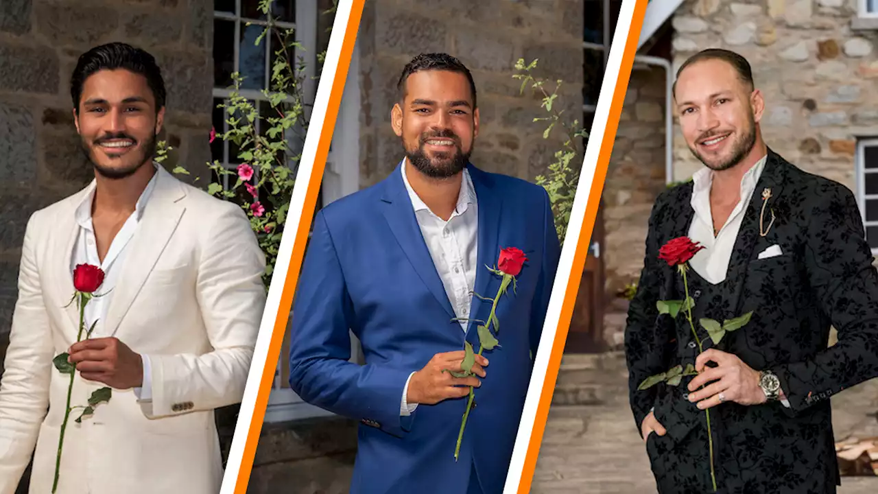 Deze drie nieuwe mannen proberen Sylvia's hart te veroveren in De Bachelorette