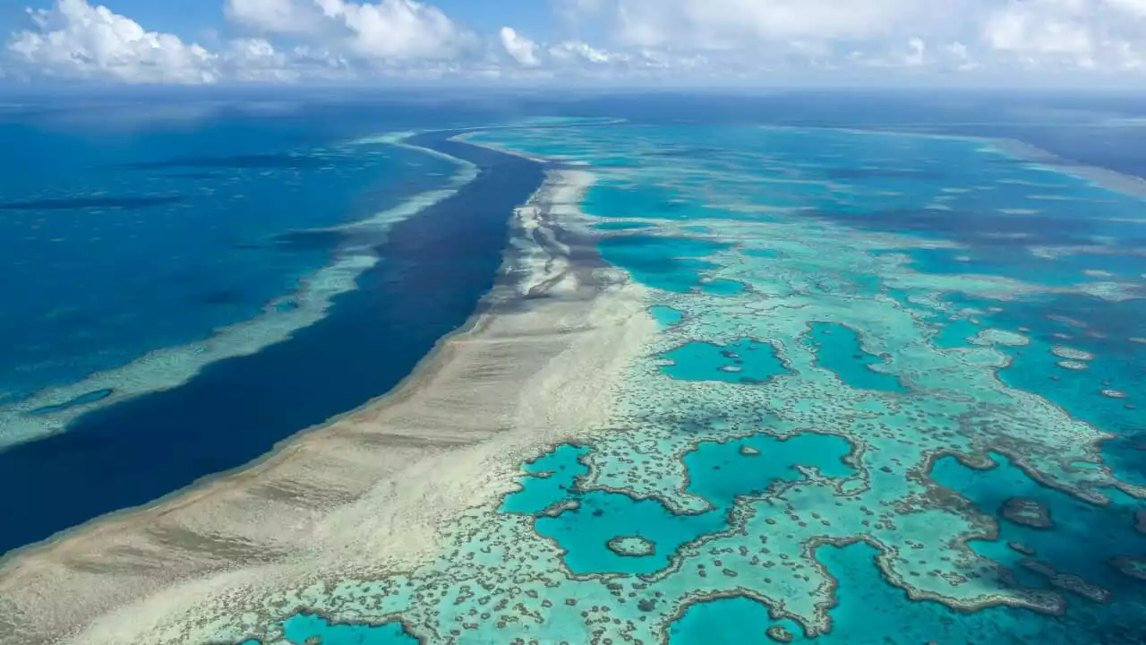 Coal mine 10km from Great Barrier Reef rejected in Australian first