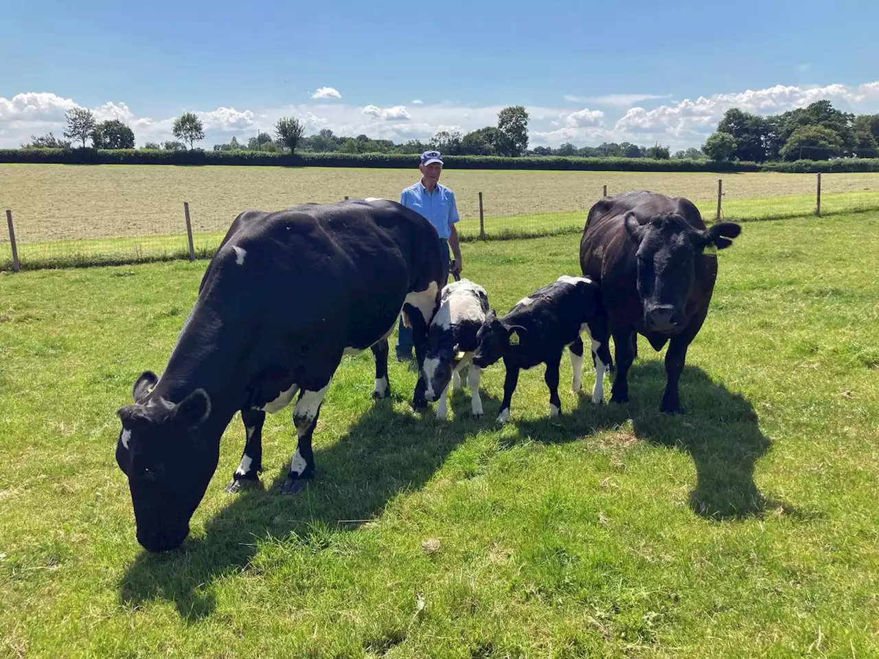 Injured farmer, trampled on by bull, set to sell herd to help charities