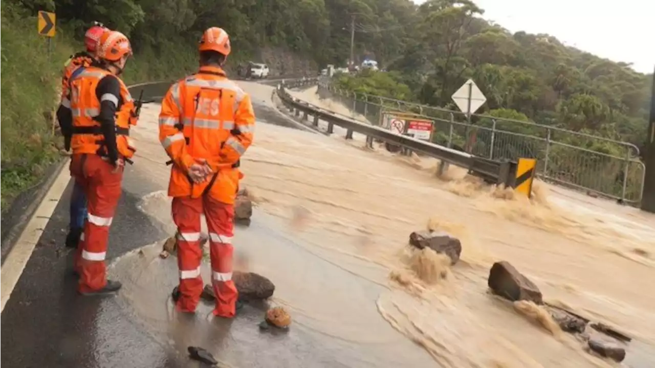 Chaos as 'severe' storm rips through Sydney