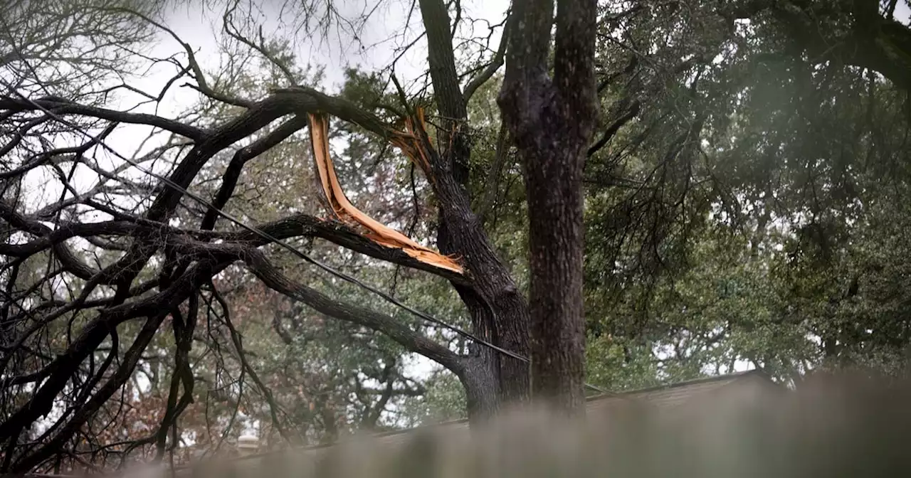 Rural Central Texas’ plentiful trees make power outages a frustrating fact of life after storms