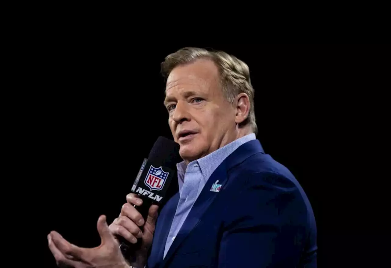 Goodell: NFL has more work to do in increasing diversity