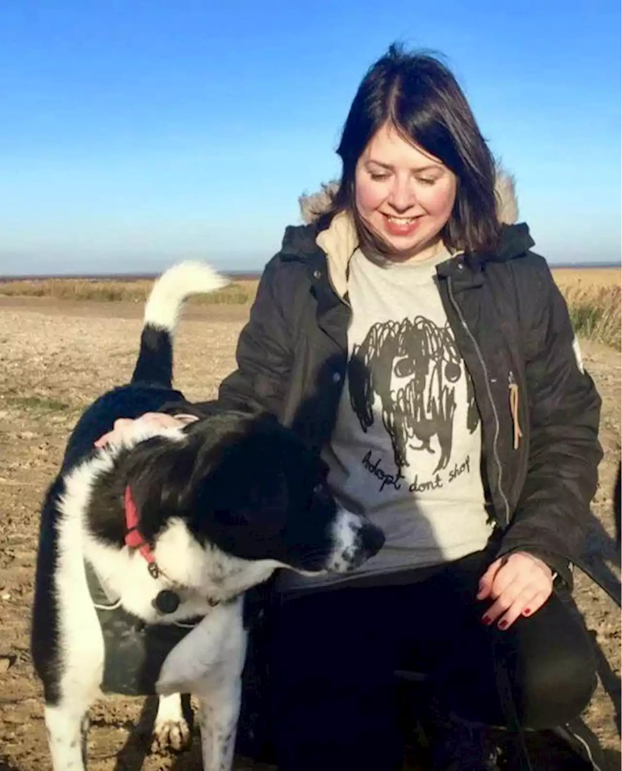 The boom in adopting dogs from abroad: 'I wouldn't be without him now'