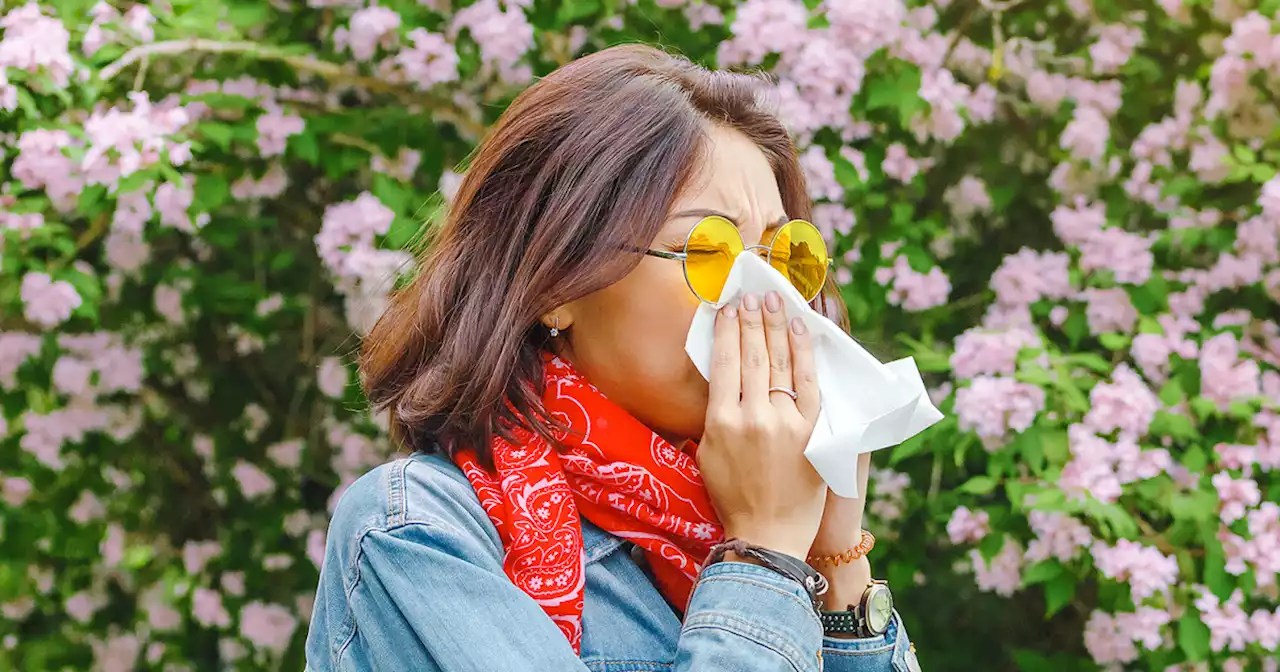 When should you start taking seasonal allergy medicine? Sooner than you think