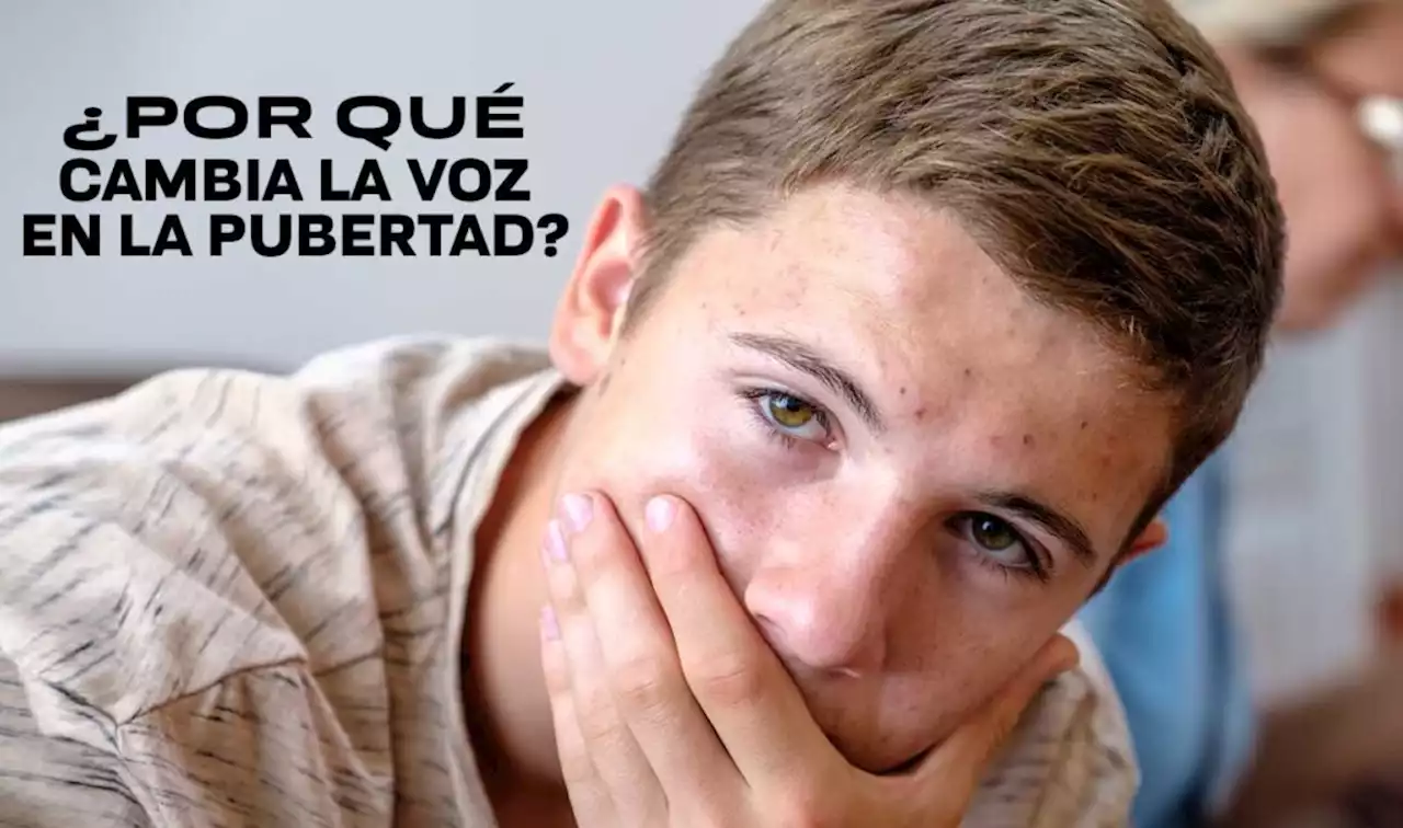 Por qué cambia la voz en la pubertad | UNAM Global