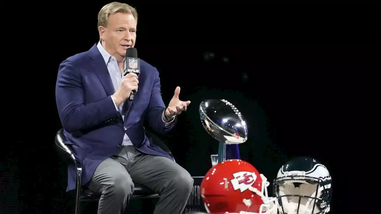 Commissioner Roger Goodell's take on NFL officiating begs for further review | Opinion