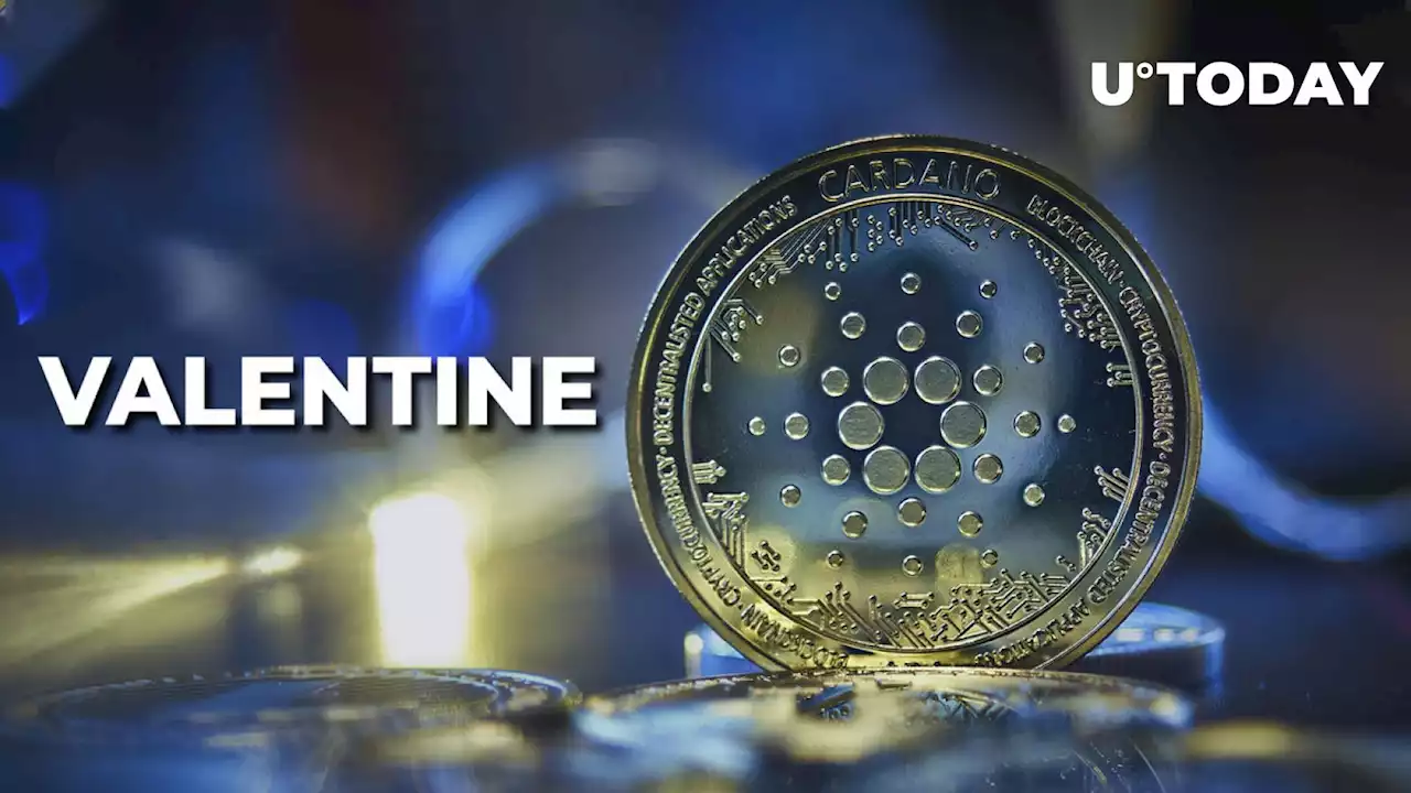 Cardano (ADA) Leads in Development Activity as Big Valentine Upgrade Nears: Details