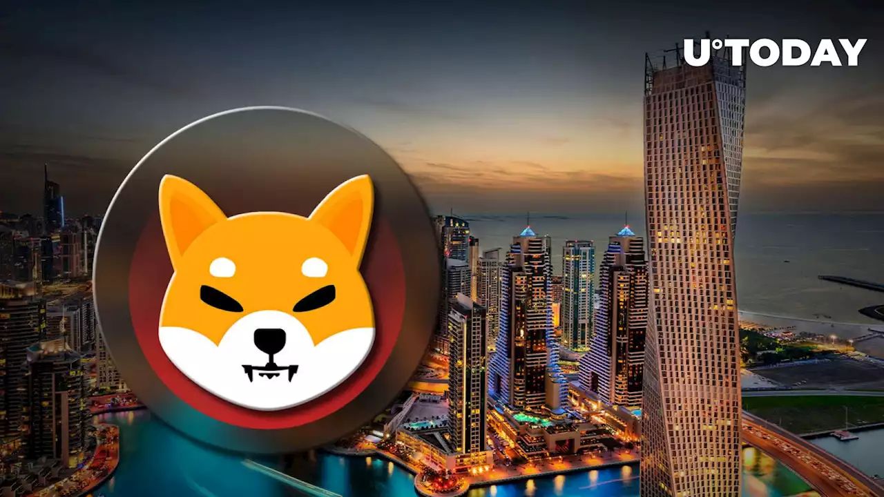 Shiba Inu (SHIB) Now Accepted by Leading Dubai University via This Integration