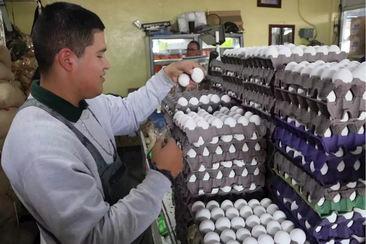 Costo del huevo en Saltillo ¿Dónde se puede encontrar el más barato y el más caro?