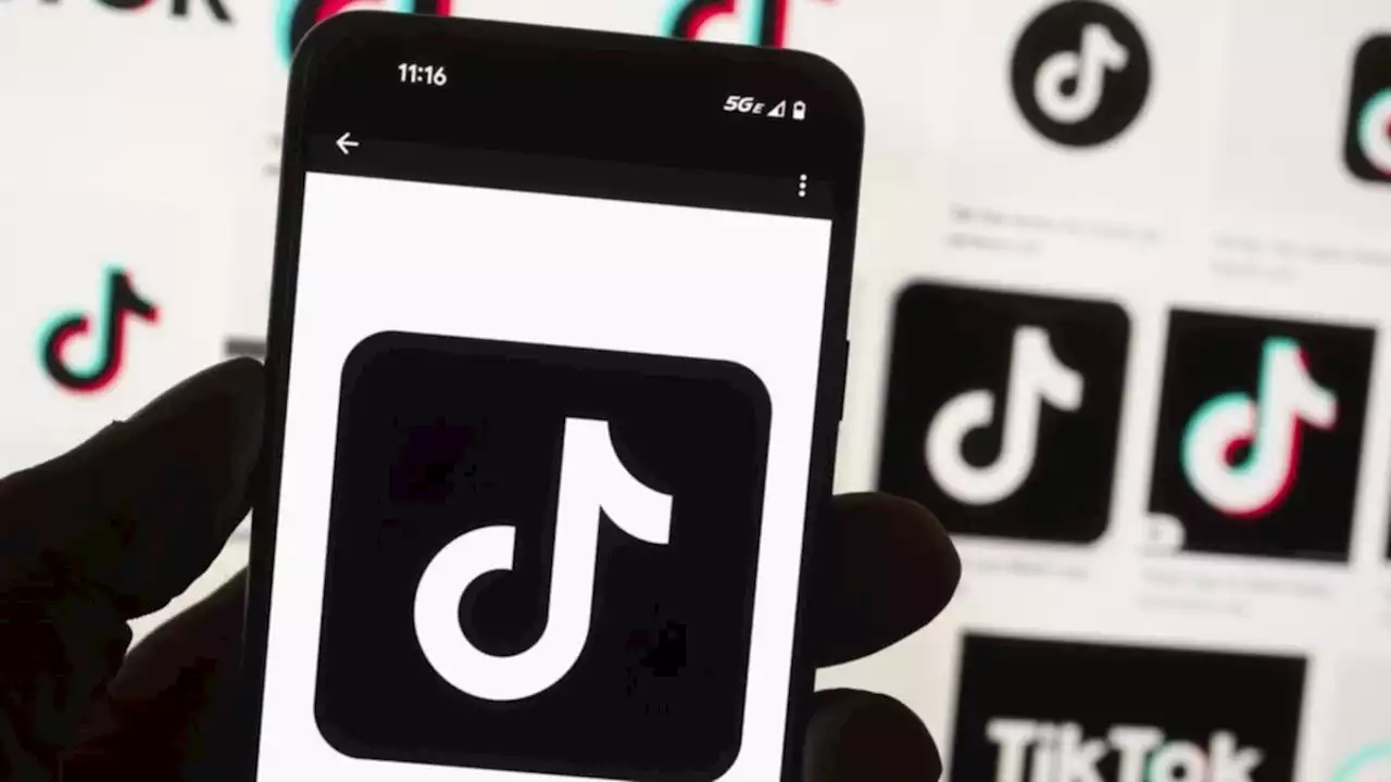 Could Australia ban TikTok? Government to ‘take advice’ on social media app