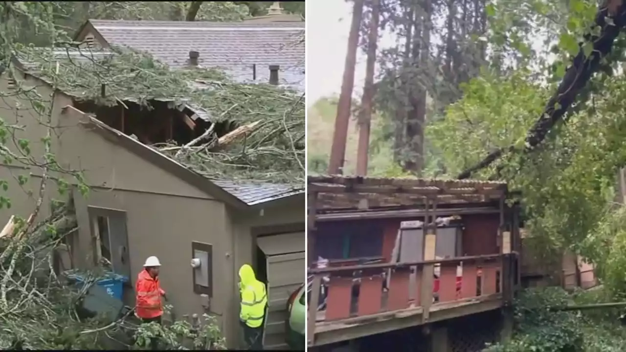 Live Bay Area weather updates: Massive trees fall onto homes in North Bay