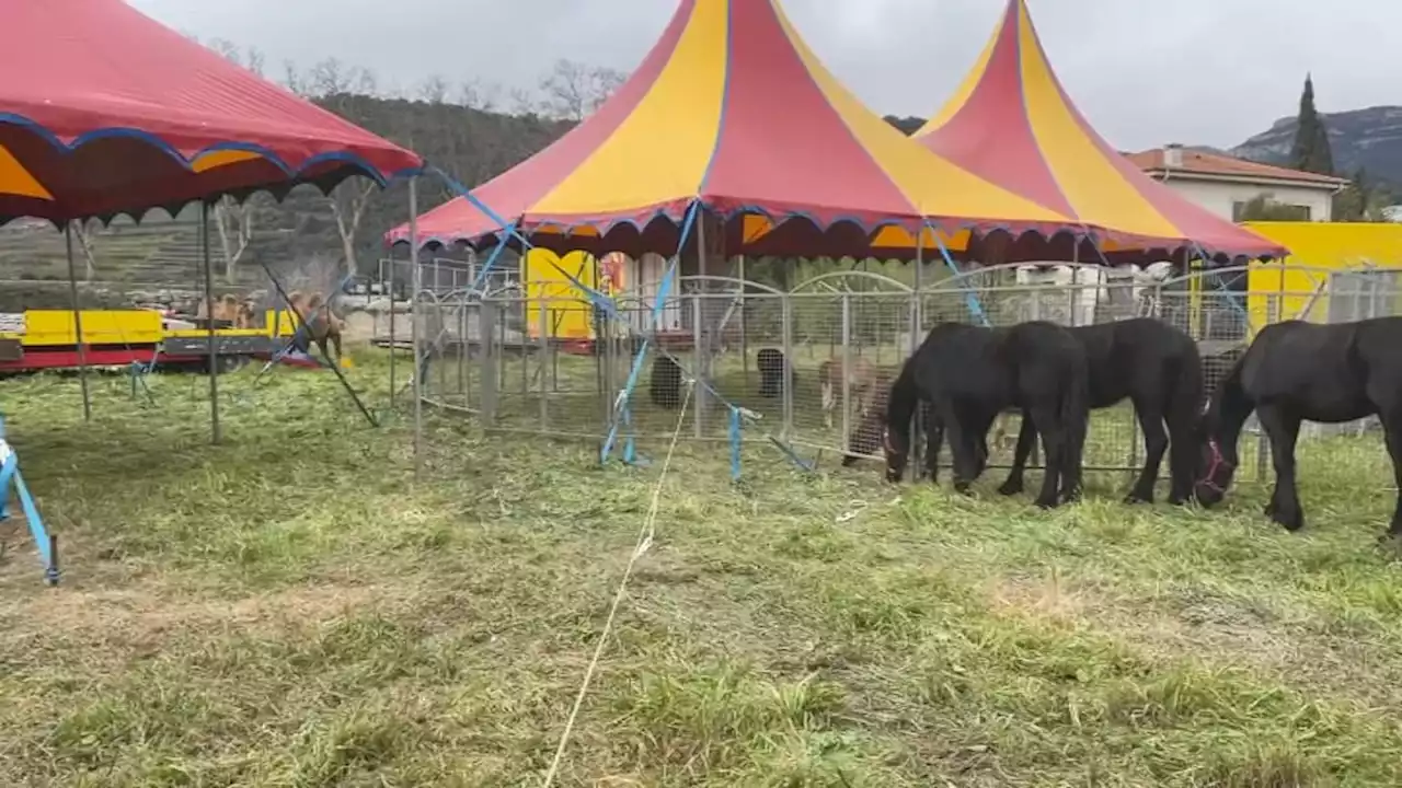 Cirque Zavatta à Nice: les circassiens affirment que le terrain où ils sont installés n'appartient pas à la métropole