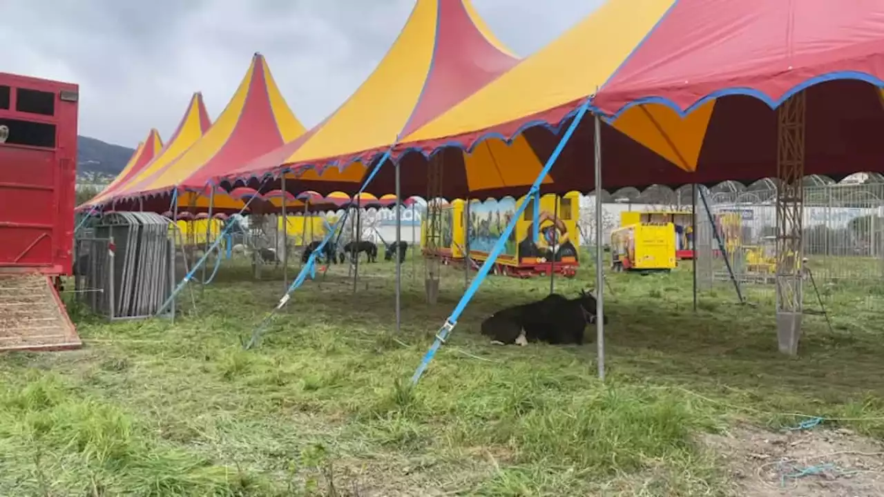 Cirque Zavatta à Nice: une audience se tiendra vendredi pour décider ou non de son expulsion