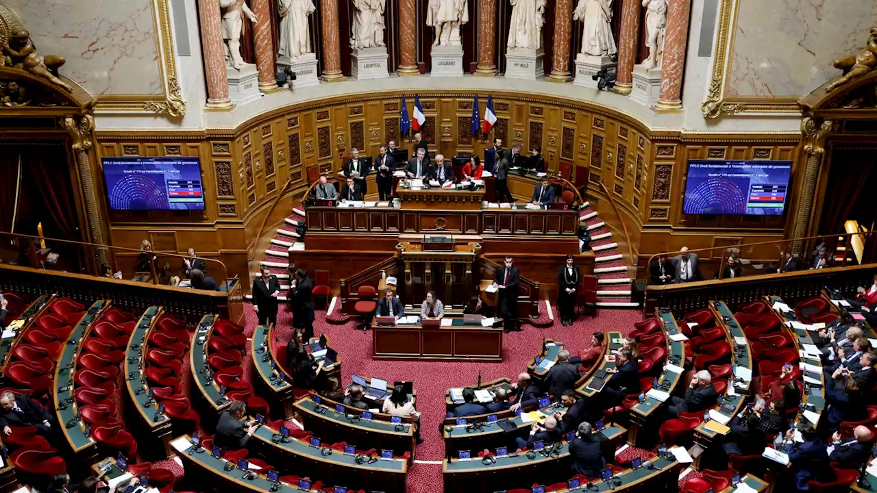 Le Sénat demande que la lutte contre les 'violences pornographiques' devienne 'une priorité'