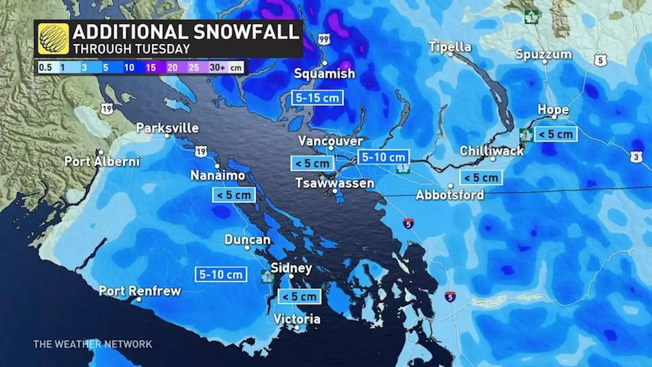 'Avoid all unnecessary travel': Up to 10 cm of snowfall expected in Metro Vancouver