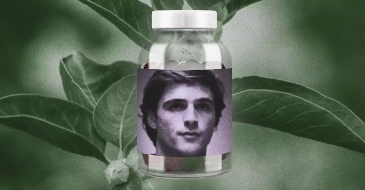 TikTokers Say Ashwagandha Makes Them Feel Emotionally Blunted Like Nate Jacobs From “Euphoria”