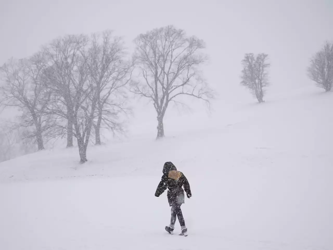 'Tenaciousness of winter': Weather Network forecasts a delayed spring