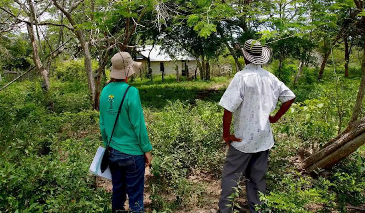 Unidad de Restitución de Tierras denuncia presunta corrupción en la entidad