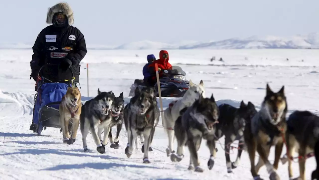 'A little scary': Iditarod Trail Sled Dog Race begins with smallest field ever